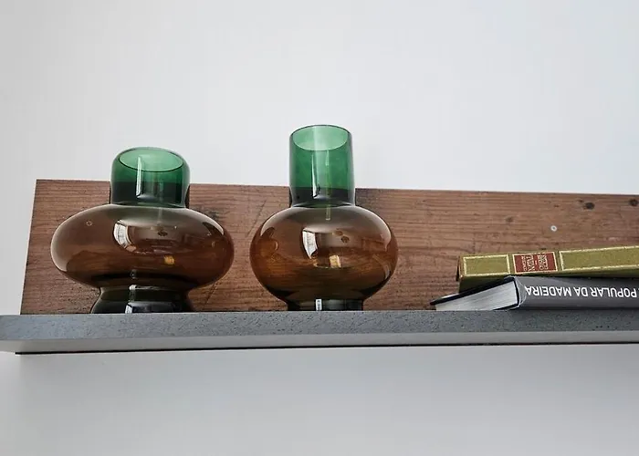 Downtown Bohemian Charm דירה פונשל